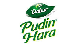 dabur-pudinhara-lgo